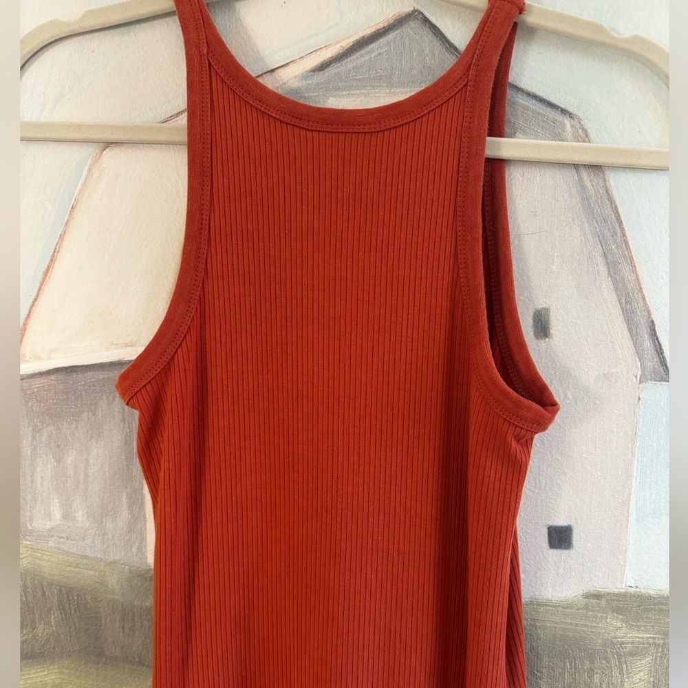 RICHER POORER Women’s Vintage Rib Burnt Orange Spiced Tea Midi Dress Size XS - Picture 8 of 8